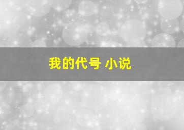 我的代号 小说